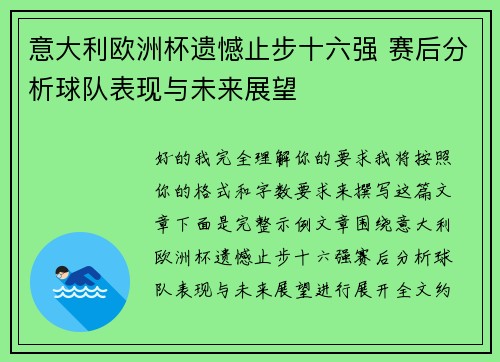 意大利欧洲杯遗憾止步十六强 赛后分析球队表现与未来展望